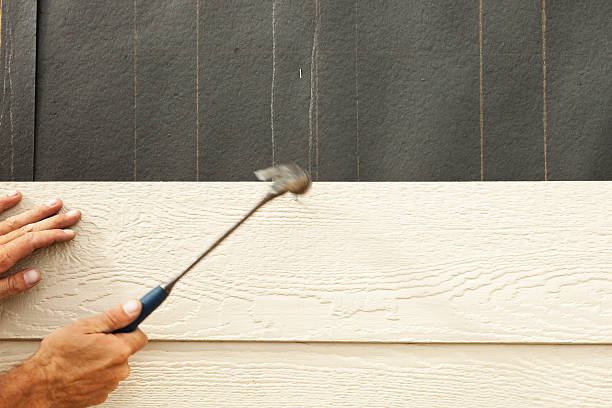 Best Stone Veneer Siding  in Pegram, TN